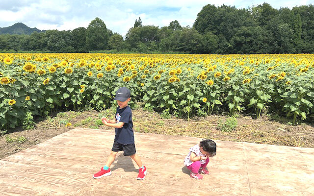 お盆の過ごし方