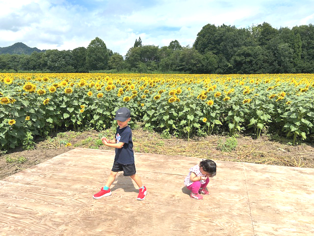 お盆の過ごし方